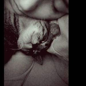 Meet your Posher, Heidi